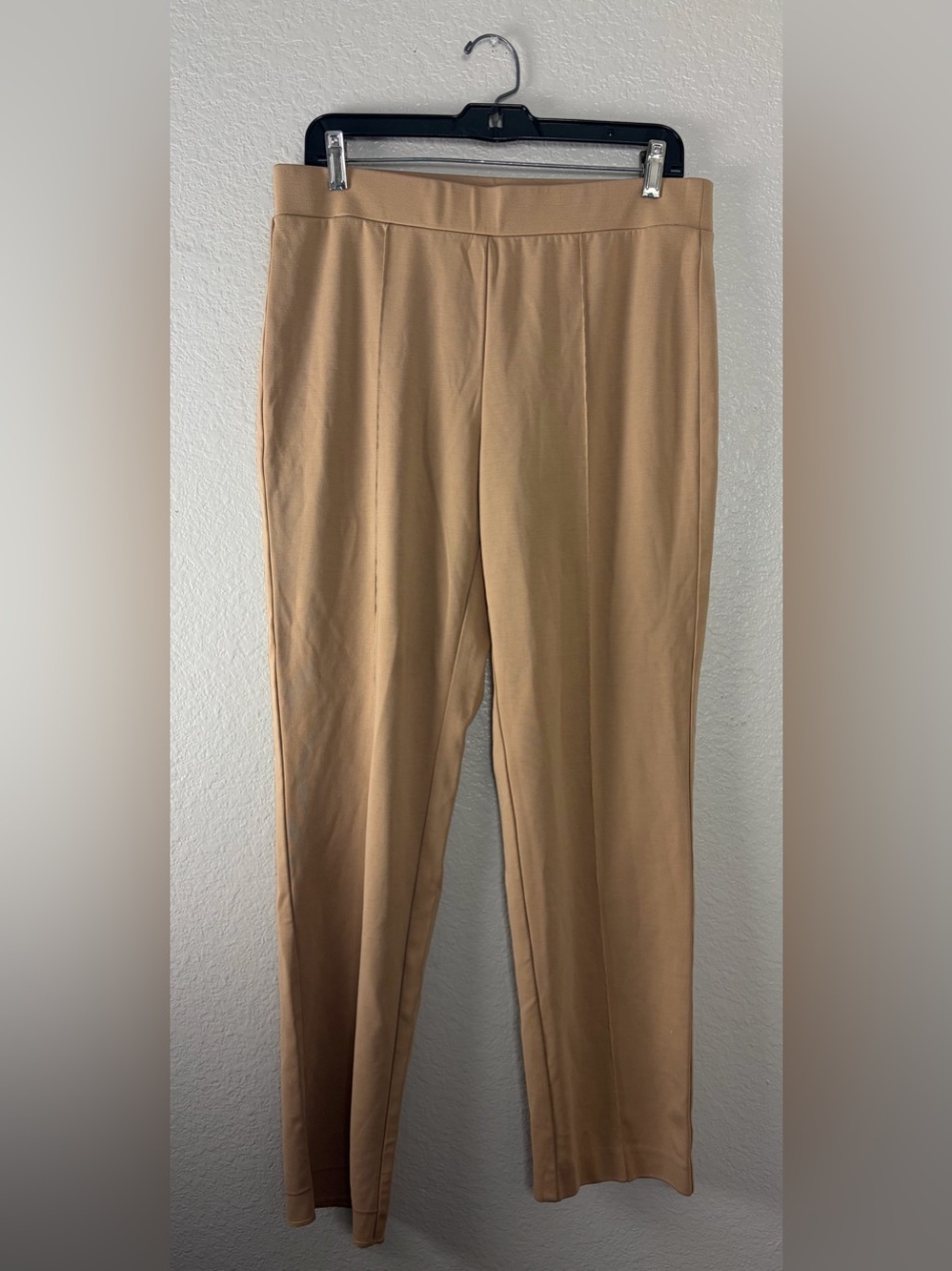 Ruby Rd. Beige Slack Pants (12)